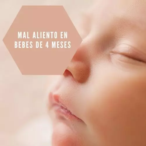 Mal Aliento En Bebes De 4 Meses [2023]